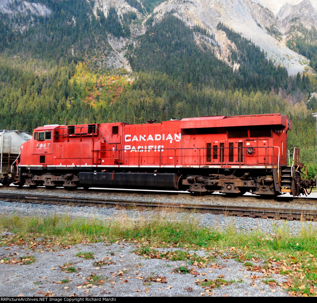 CP 8847